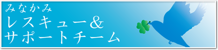 mrst_banner01.png